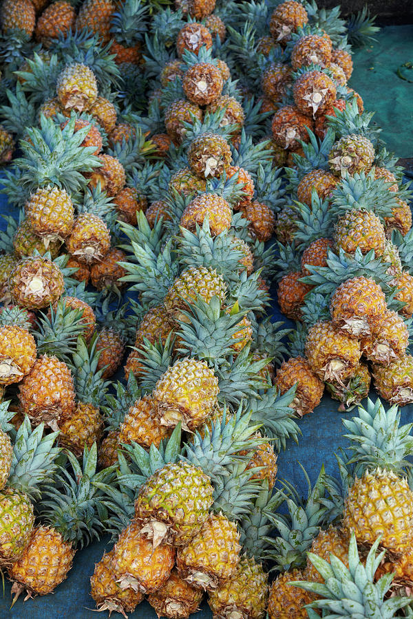 Fruit Photograph - Pineapple Stall At Suva Municipal by David Wall
