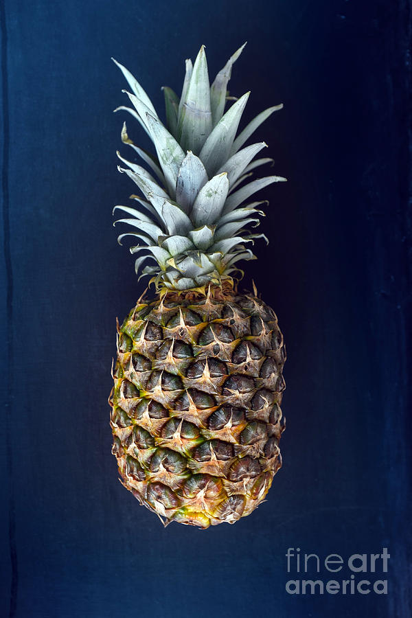 Summer Photograph - Pineapple  by Viktor Pravdica
