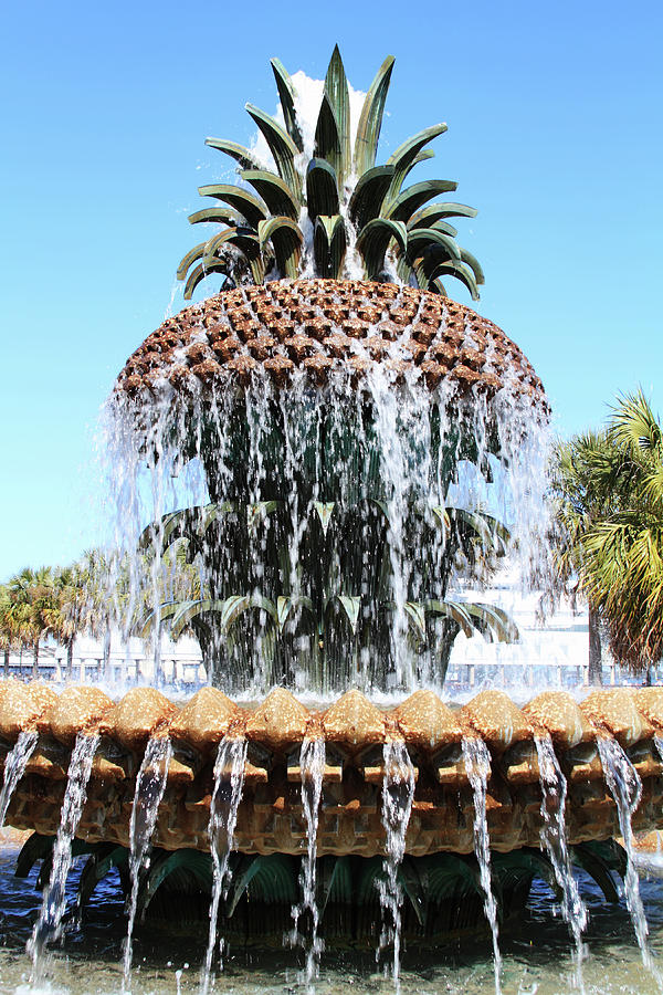 Pineapple Water Fountain In Charleston Photograph by Noderog