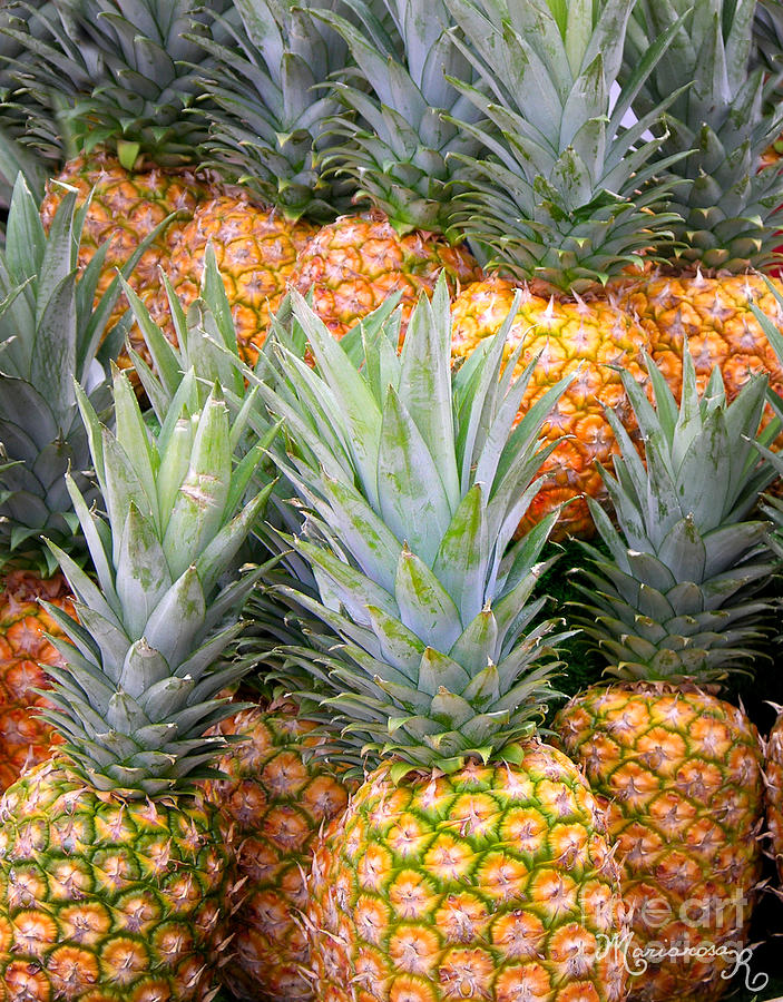 Pineapples Photograph by Mariarosa Rockefeller