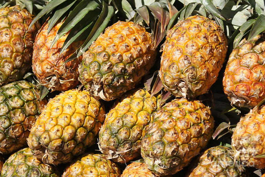Pineapples On The Market Photograph by Rudi Prott