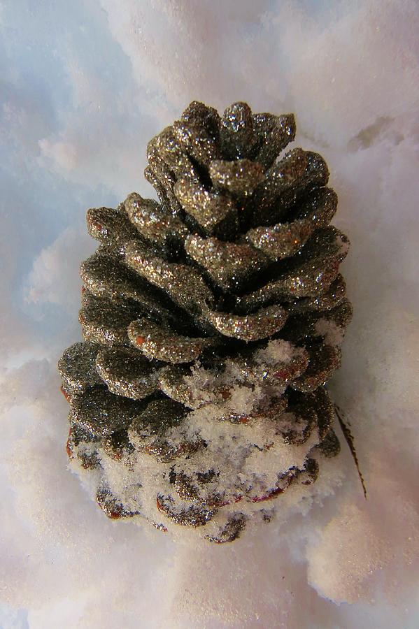Pinecone in the Snow Photograph by Jeanette Oberholtzer