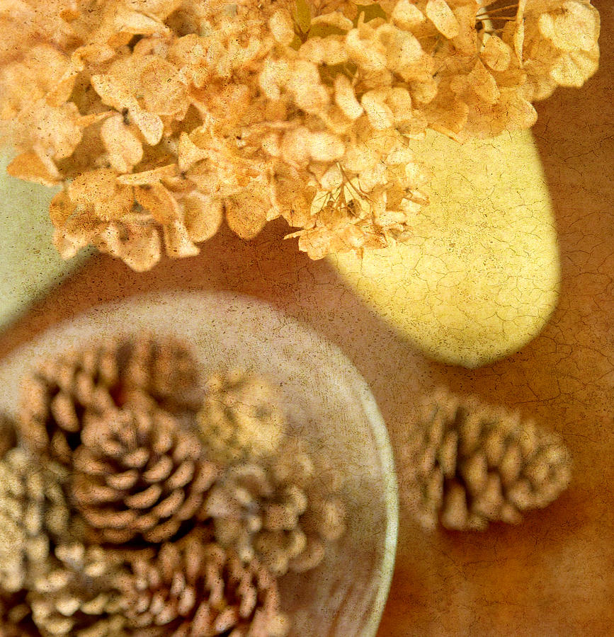 Pinecones and Hydrangae Photograph by Rebecca Cozart