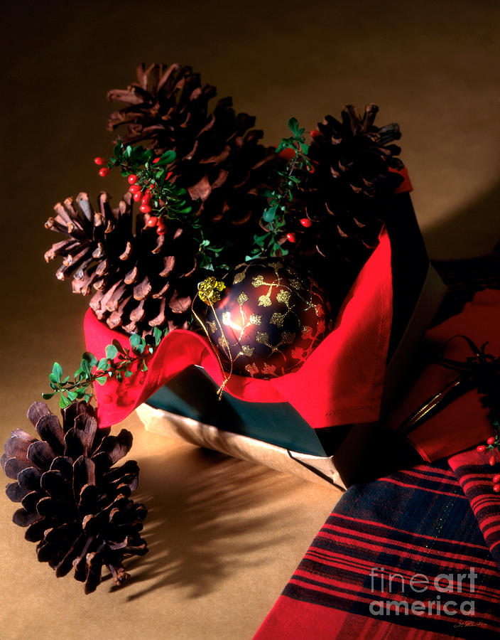 Pinecones Christmasbox Photograph by Iris Richardson