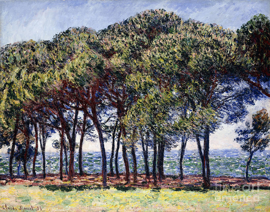 Claude Monet Painting - Pines by Claude Monet
