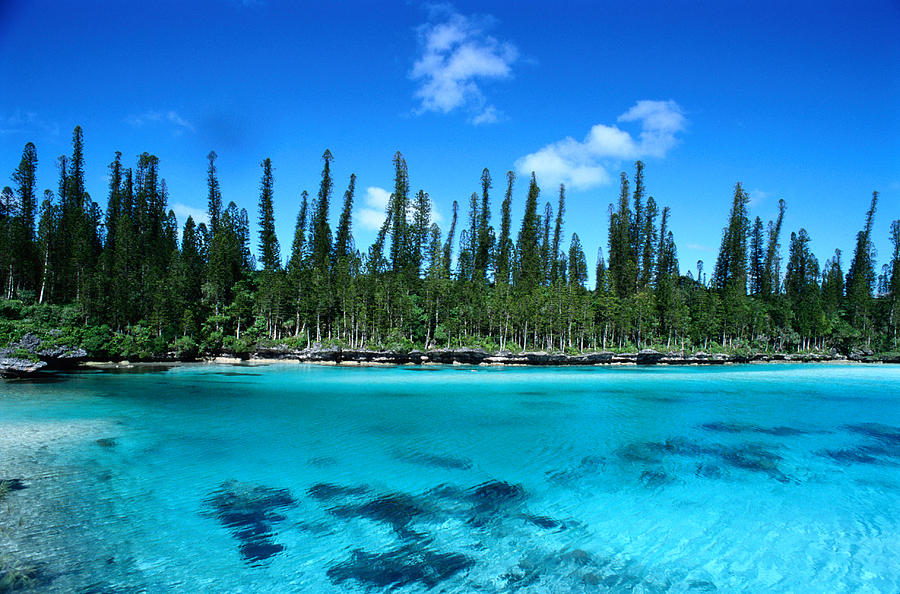 Pines Island at New Caledonia Photograph by Philippe Colombi