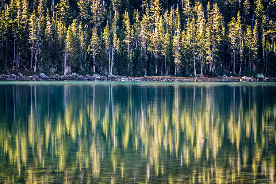 Pines Reflected in Tenaya Lake Photograph by James Capo