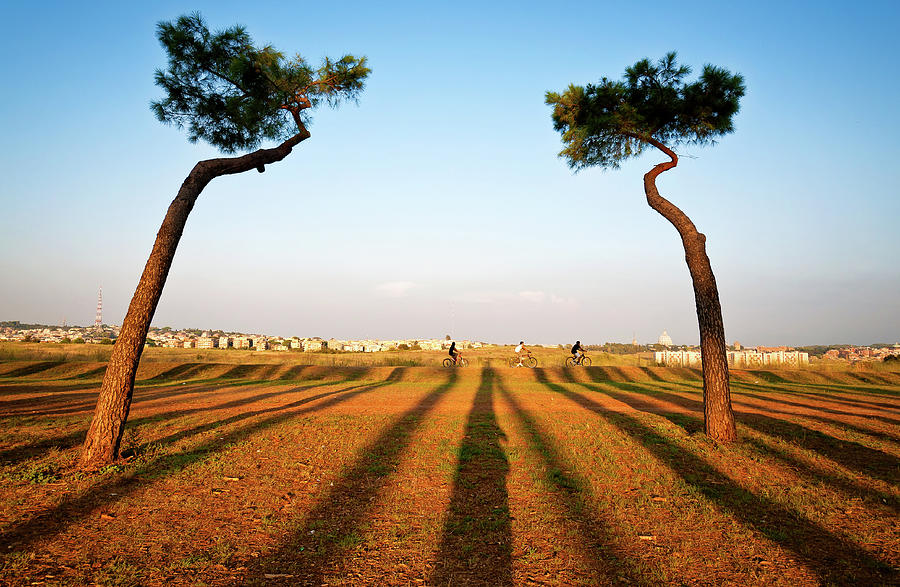Pineto Landscape Photograph by Daniele Dorelli