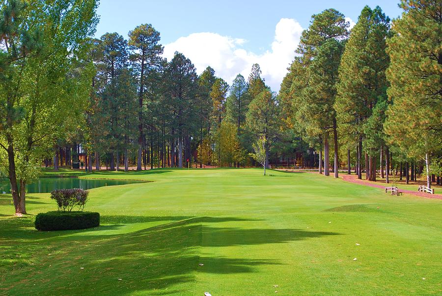 Golf Course Photograph by Nancy Jenkins Pixels