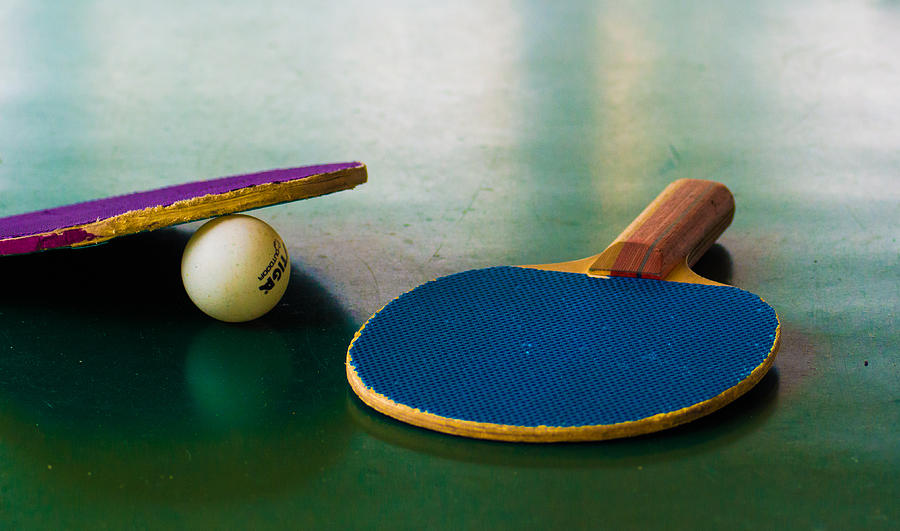 Ping Pong Photograph by Diane Bell