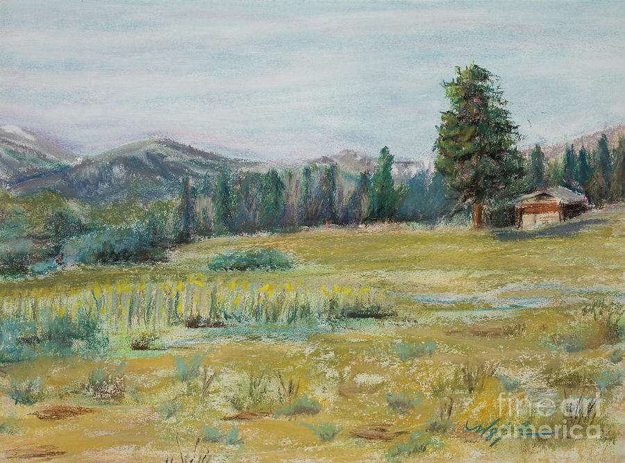 Pingree Park Painting by Mary Benke