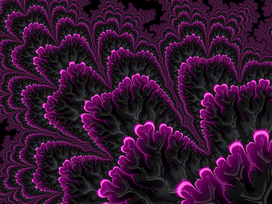 Pink And Black Abstract Digital Leaves Digital Art