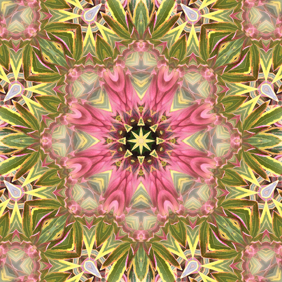 Pink And Green Motif Digital Art by Lena Wilhite