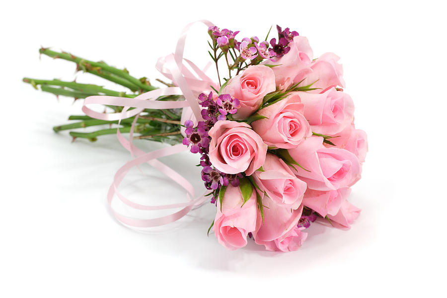 Pink and mauve rose flower bouquet isolated on white , shadows Photograph by Bucky_za