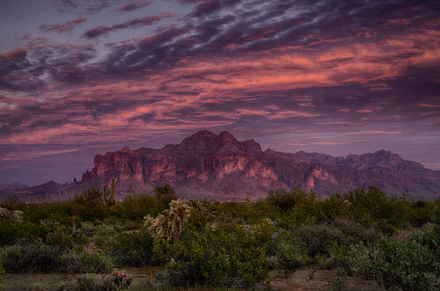 Sunset Photograph - Pink and Purple Desert Skies  by Saija Lehtonen