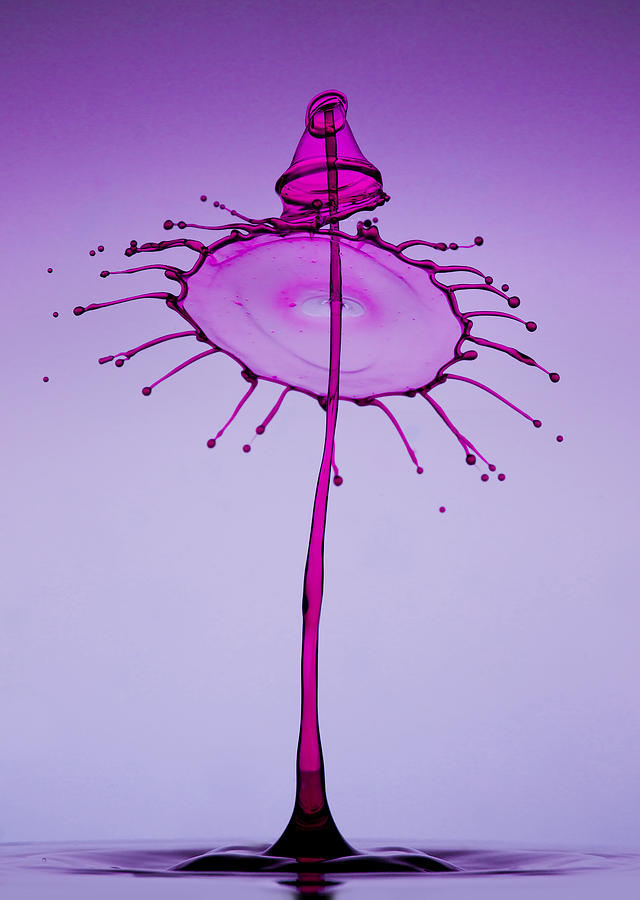 Pink and purple splash Photograph by Jaroslaw Blaminsky