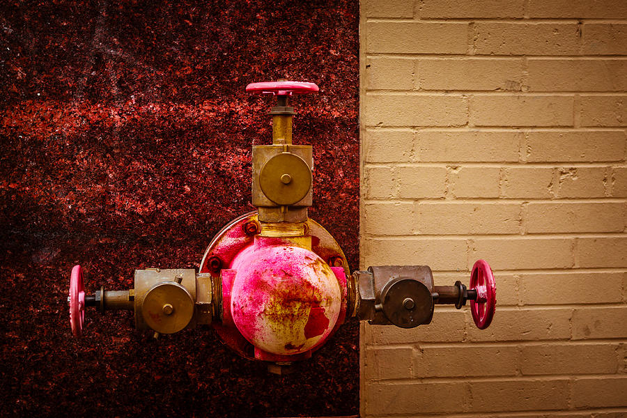 Pink and Rusted Photograph by Melinda Ledsome