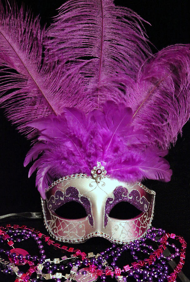 Pink and Silver Mardi Gras Mask Photograph by Sheila Kay McIntyre