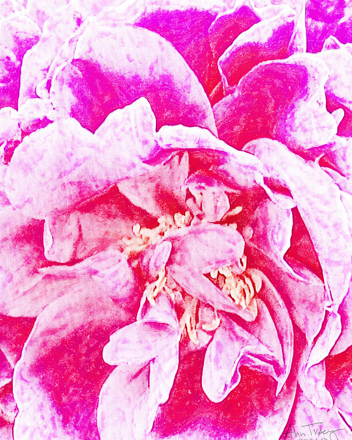 Pink And White Joy Digital Art by Ann Tracy