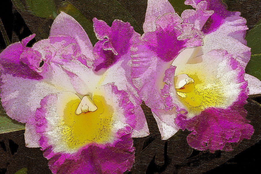 Pink And White Orchids Painterly Photograph by Phyllis Denton