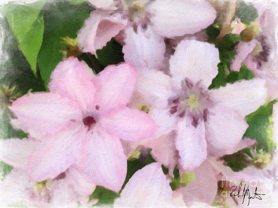 Pink And White Photograph by Richard  Montemurro
