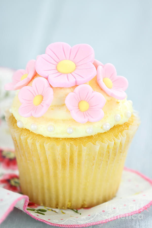 Cake Photograph - Pink and Yellow Cupcakes by Stephanie Frey