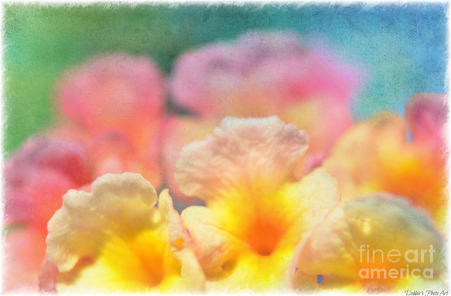Spring Photograph - Pink and Yellow Lantana Macro by Debbie Portwood