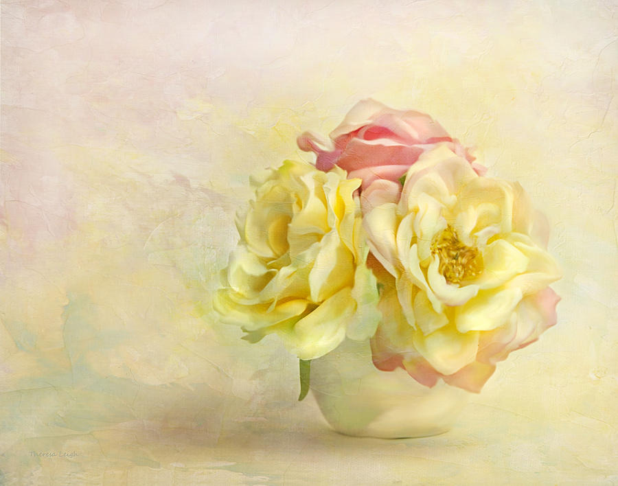 Pink And Yellow Roses Photograph by Theresa Tahara