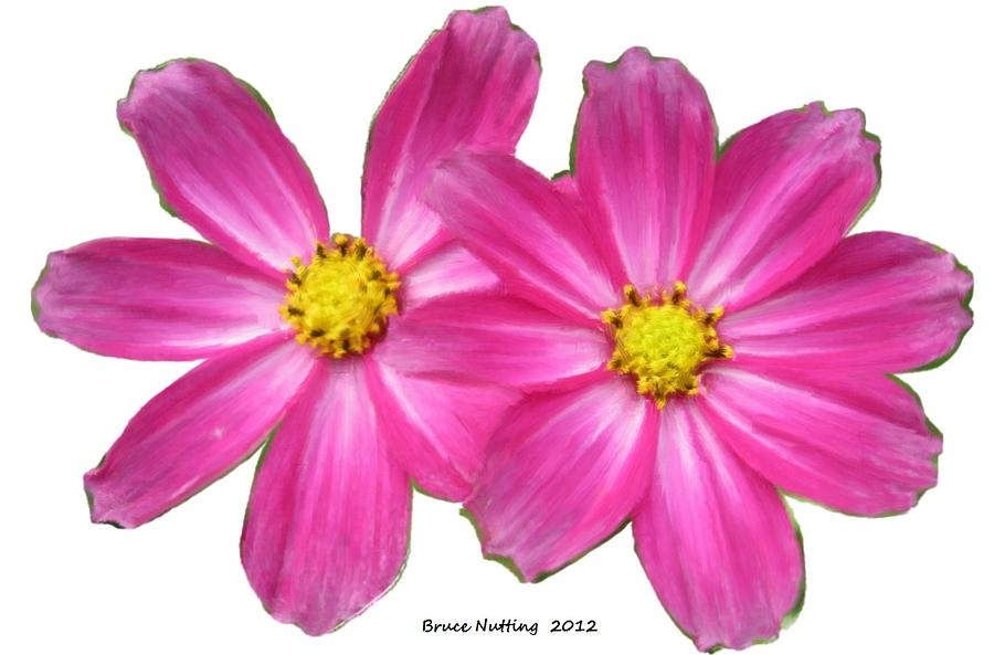 Pink Asters Painting by Bruce Nutting