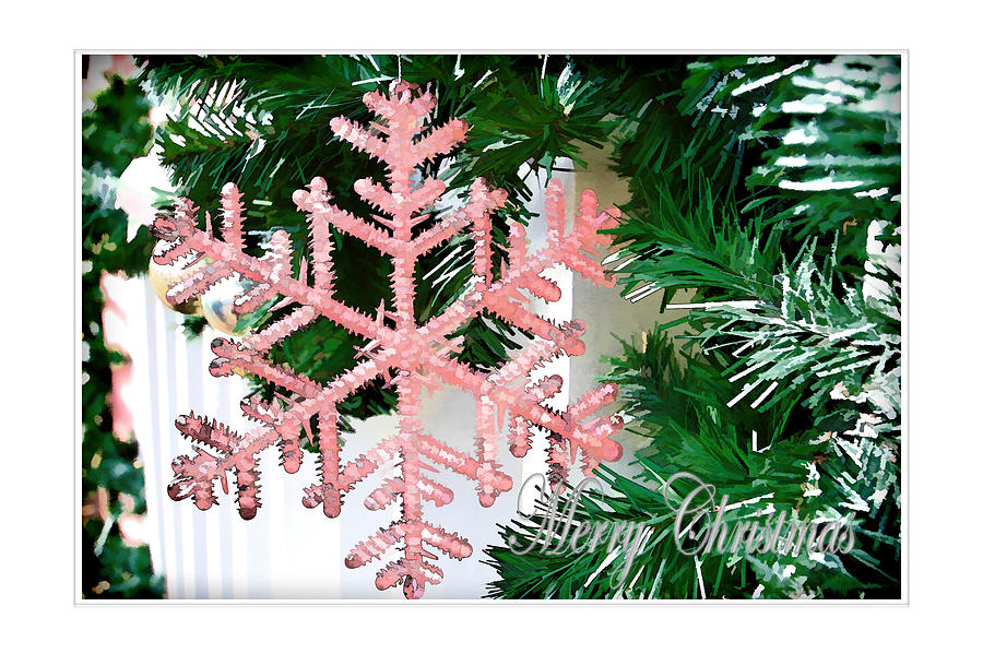 Christmas Photograph - Pink by Audreen Gieger