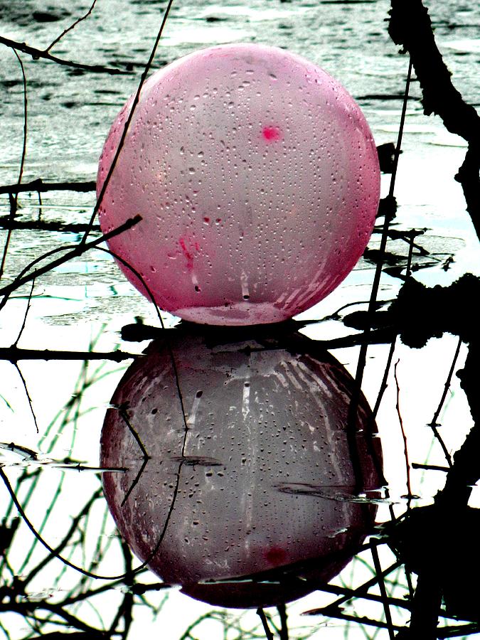 Pink Photograph - Pink Balloon Reflecting by Nicki Bennett