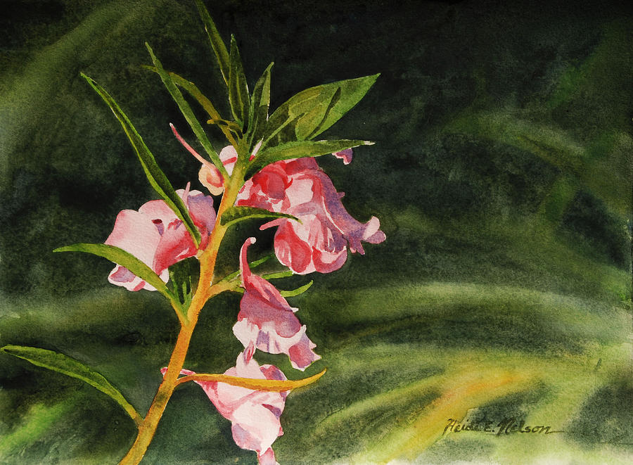 Pink Balsam Flowers Painting by Heidi E Nelson