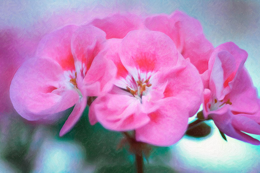 Flower Photograph - Pink Beauty by Garvin Hunter