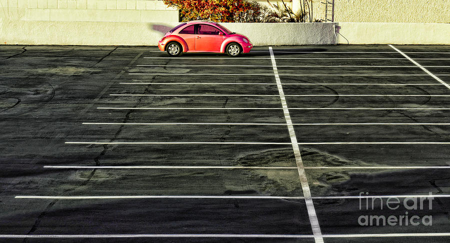 Pink Beetle Photograph by Les Palenik