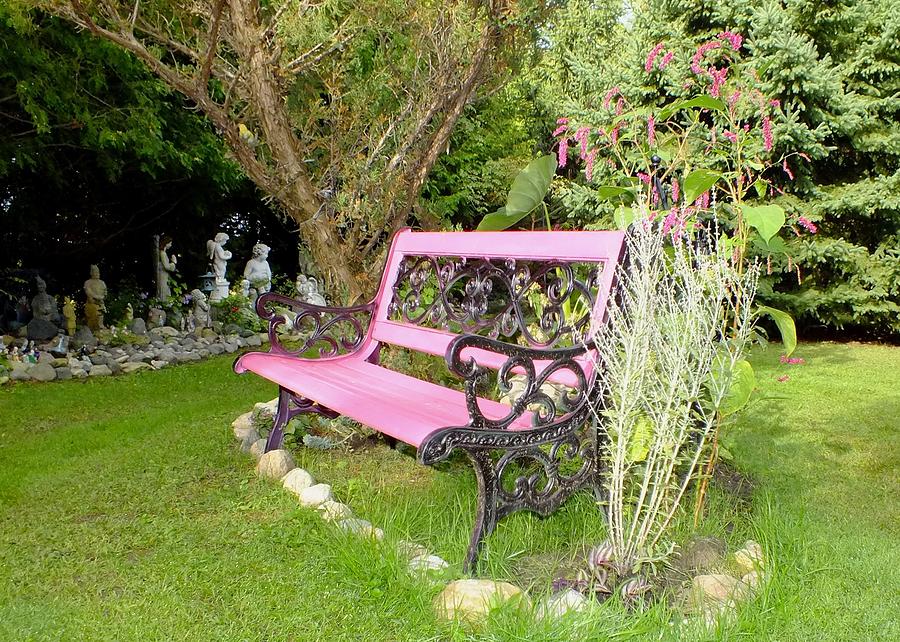 Pink Bench Photograph by Peggy King