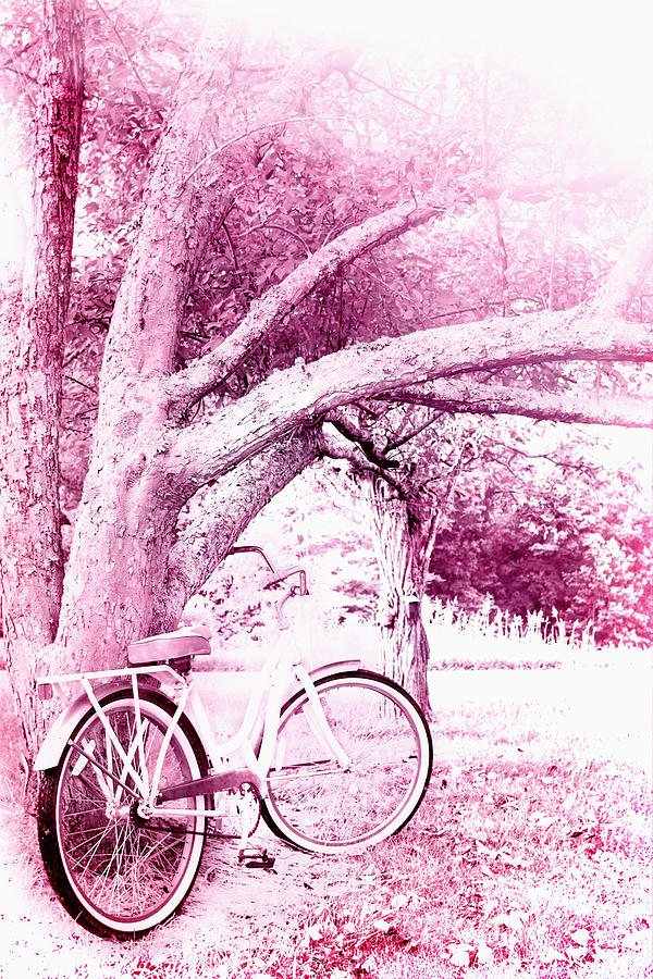 Pink Bicycle  Photograph by Stephanie Frey