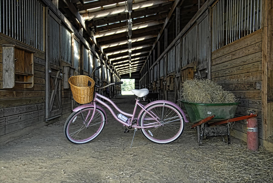 Pink bike  by Sami Martin