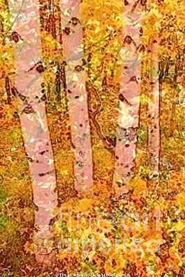Fall Colors Mixed Media - Pink Birches by PainterArtist FIN