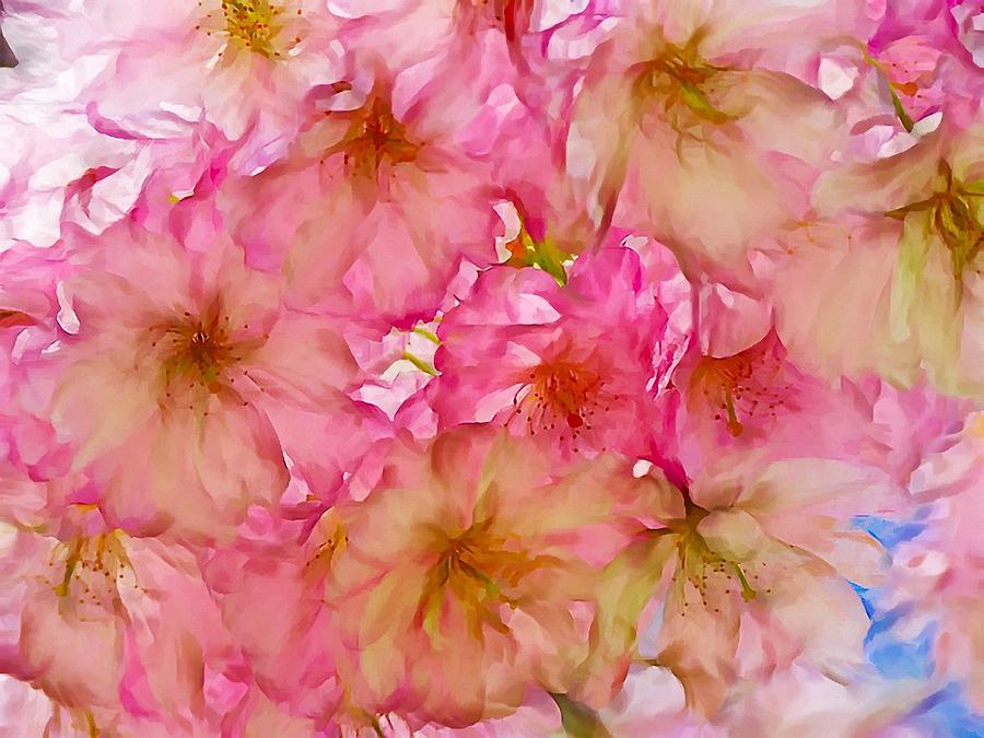 Pink Blossom Digital Art by Lilia D