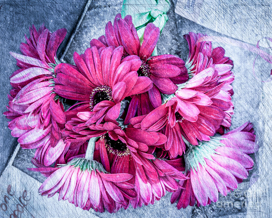 Pink Bouquet Digital Art by Susan Cole Kelly Impressions