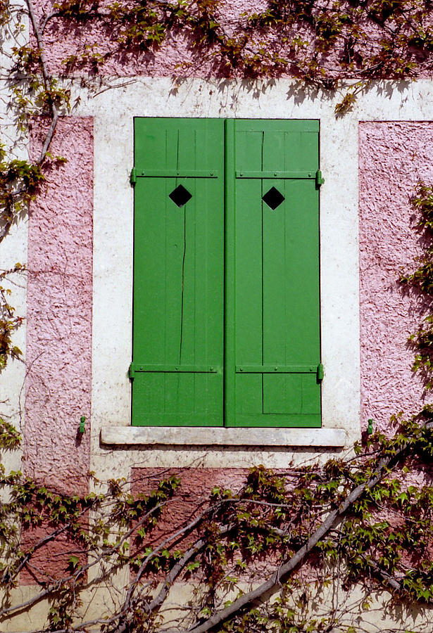 Pink building with green shutters Photograph by Mary Bedy