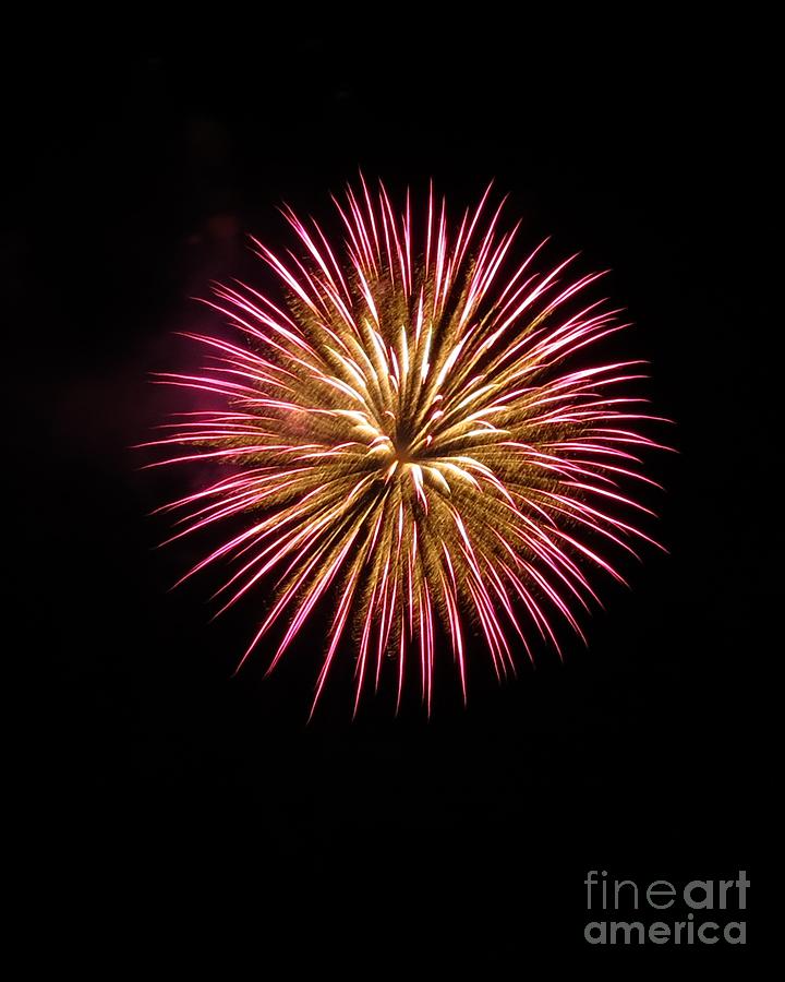 Fourth Of July Photograph - Pink Burst by Donna Cavanaugh