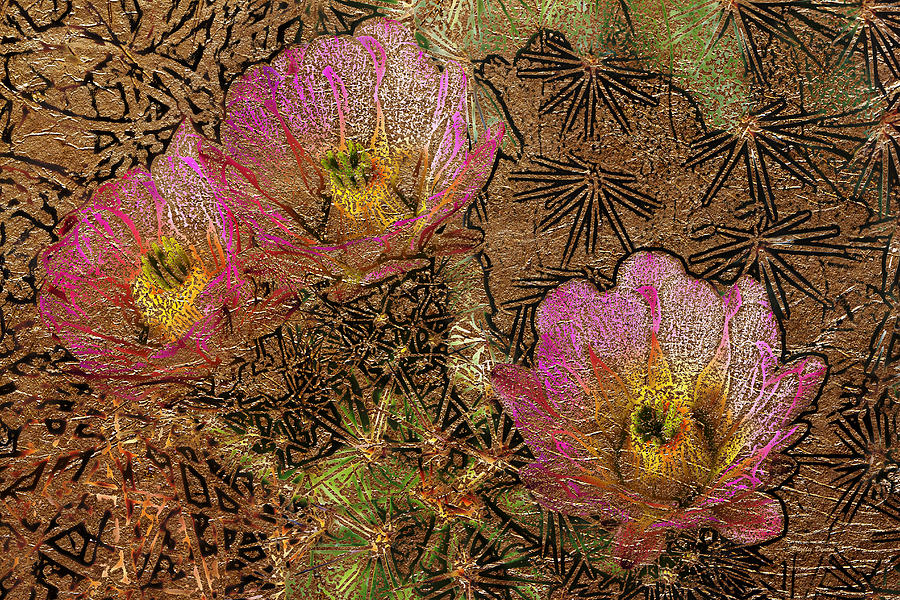 Pink Cactus Flowers Gold Leaf Photograph by Phyllis Denton