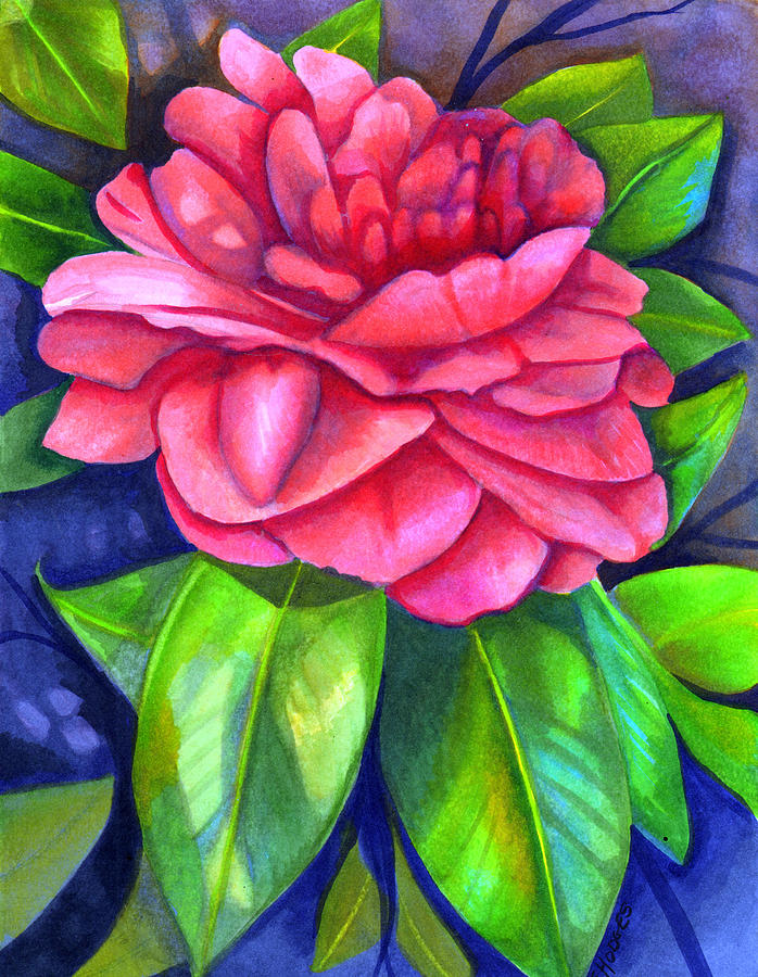 Flowers Still Life Painting - Pink Camellia by Elaine Hodges