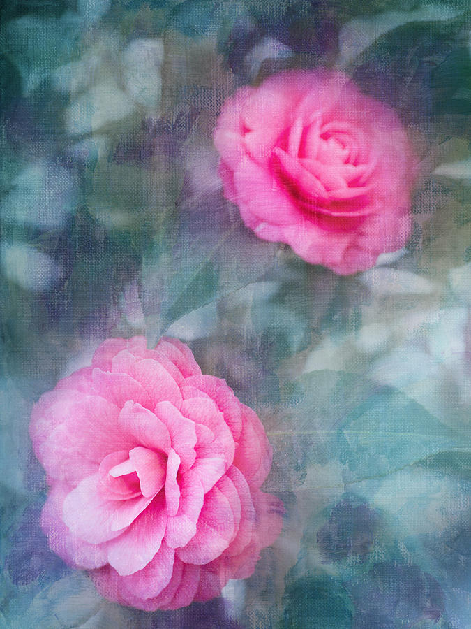 Flower Photograph - Pink Camellia by Rebecca Cozart