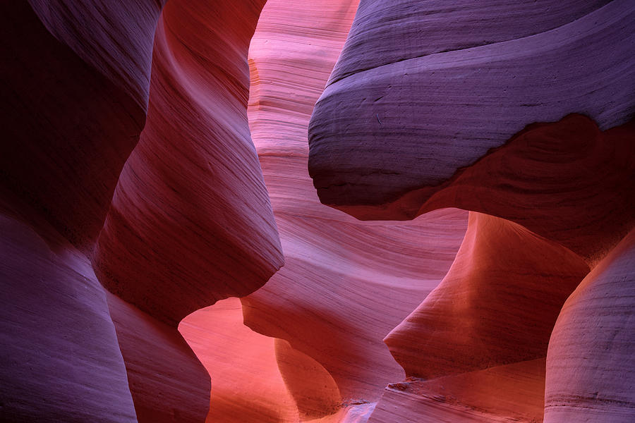 Desert Photograph - Pink Canyon by Pete Piriya