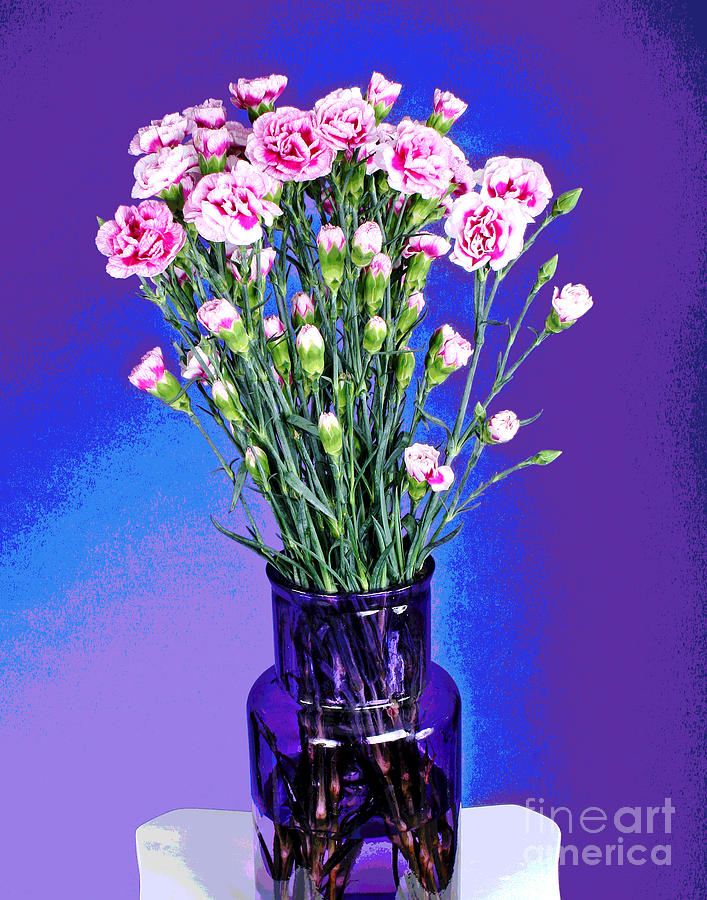 Pink Carnations Photograph by Larry Oskin