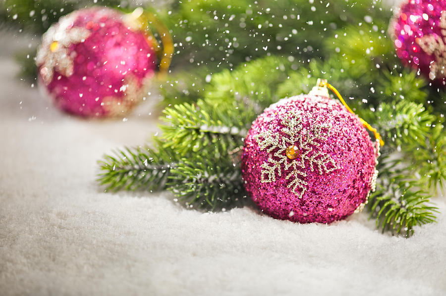Pink Christmas tree bauble with Christmas tree branches Photograph by U Schade