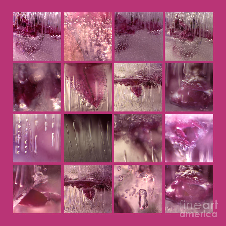 Pink Collage Photograph by Randi Grace Nilsberg