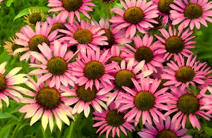 Unique Painting - Pink Coneflowers by Shere Crossman